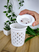 Load image into Gallery viewer, Elodie Wax Burner